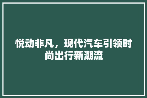 悦动非凡，现代汽车引领时尚出行新潮流