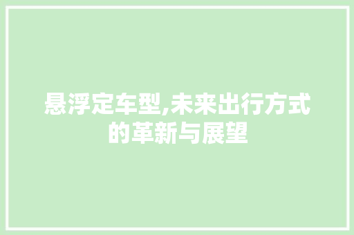悬浮定车型,未来出行方式的革新与展望