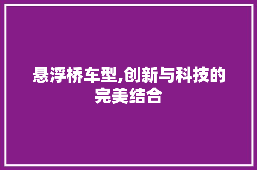 悬浮桥车型,创新与科技的完美结合