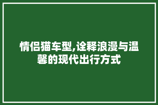 情侣猫车型,诠释浪漫与温馨的现代出行方式