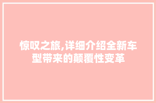 惊叹之旅,详细介绍全新车型带来的颠覆性变革