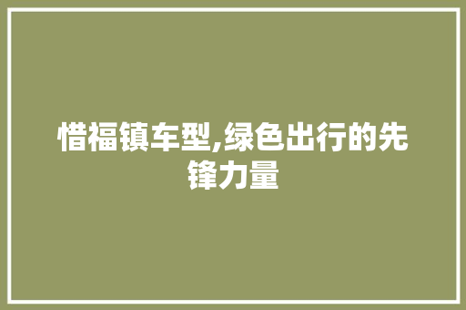 惜福镇车型,绿色出行的先锋力量