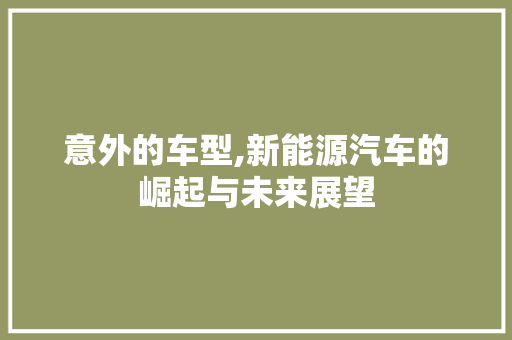 意外的车型,新能源汽车的崛起与未来展望