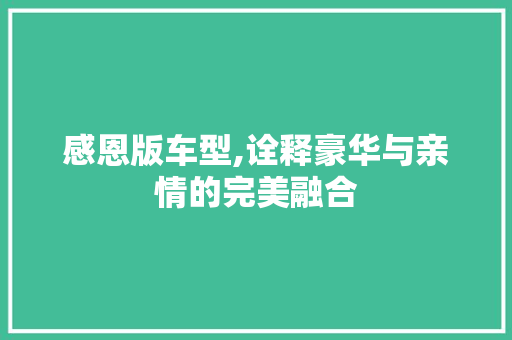 感恩版车型,诠释豪华与亲情的完美融合