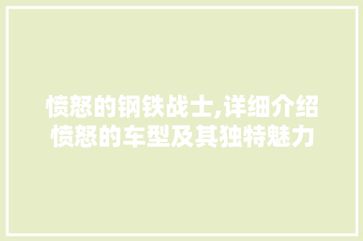 愤怒的钢铁战士,详细介绍愤怒的车型及其独特魅力