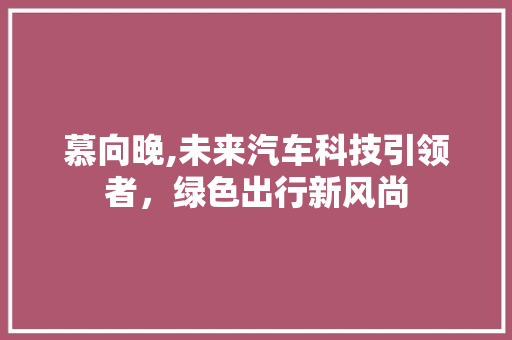 慕向晚,未来汽车科技引领者，绿色出行新风尚