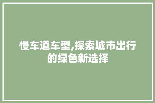 慢车道车型,探索城市出行的绿色新选择