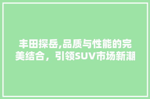 丰田探岳,品质与性能的完美结合，引领SUV市场新潮流 车灯配件