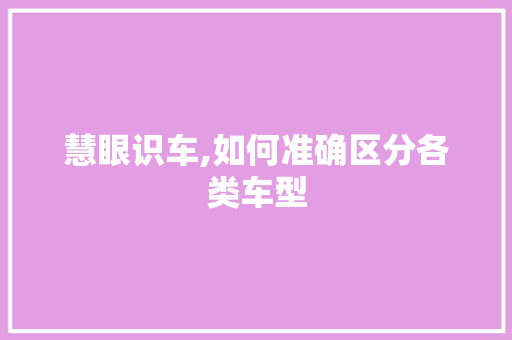 慧眼识车,如何准确区分各类车型