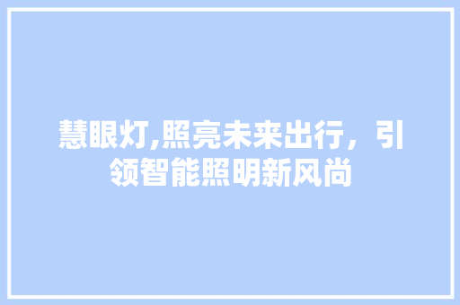 慧眼灯,照亮未来出行，引领智能照明新风尚