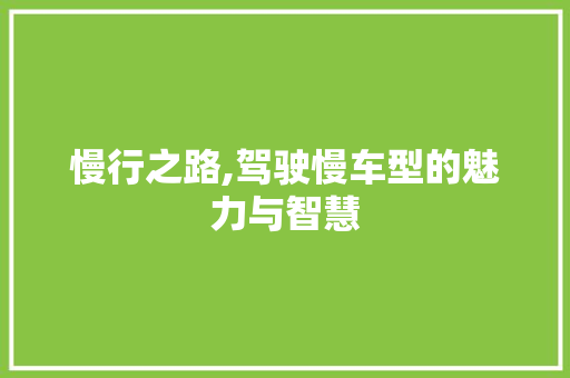 慢行之路,驾驶慢车型的魅力与智慧