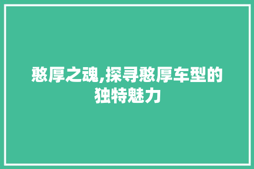 憨厚之魂,探寻憨厚车型的独特魅力