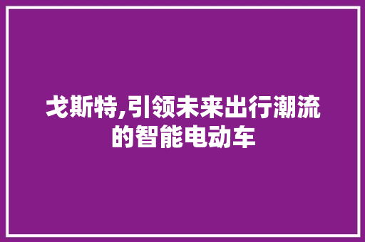 戈斯特,引领未来出行潮流的智能电动车