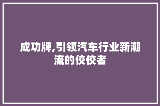 成功牌,引领汽车行业新潮流的佼佼者