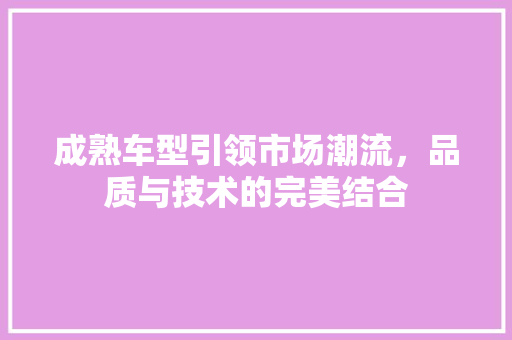 成熟车型引领市场潮流，品质与技术的完美结合
