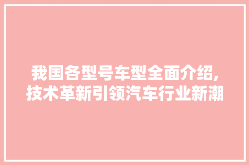 我国各型号车型全面介绍,技术革新引领汽车行业新潮流