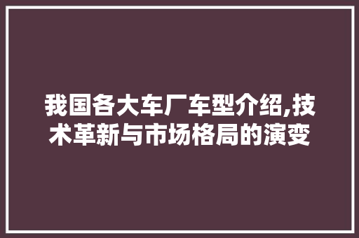 我国各大车厂车型介绍,技术革新与市场格局的演变