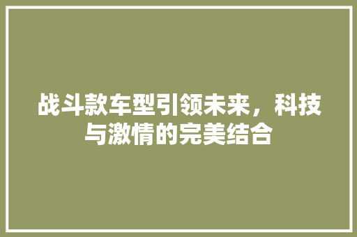 战斗款车型引领未来，科技与激情的完美结合