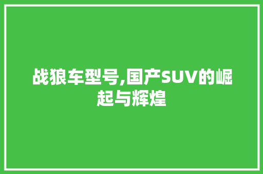 战狼车型号,国产SUV的崛起与辉煌