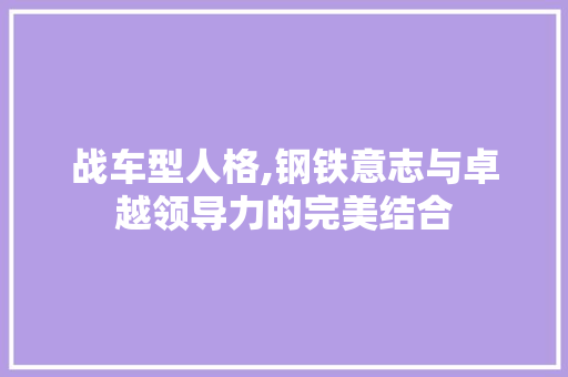 战车型人格,钢铁意志与卓越领导力的完美结合