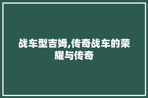 战车型吉姆,传奇战车的荣耀与传奇