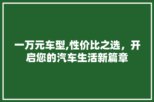 一万元车型,性价比之选，开启您的汽车生活新篇章