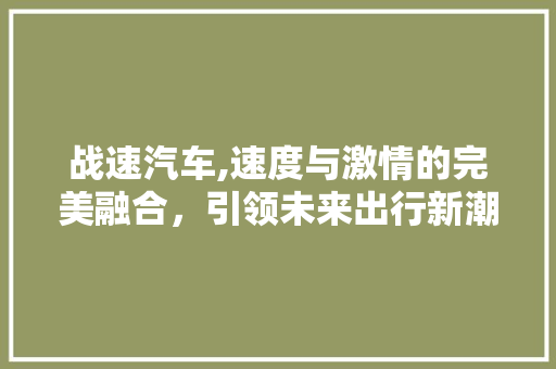 战速汽车,速度与激情的完美融合，引领未来出行新潮流