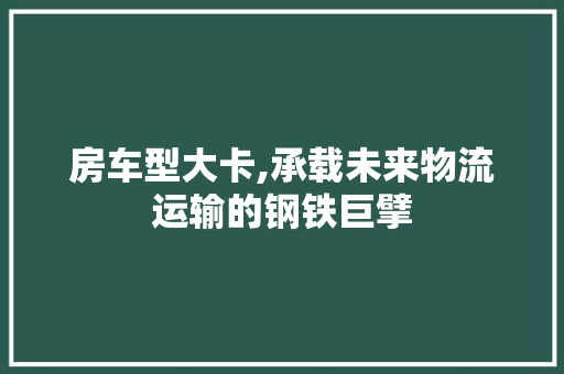 房车型大卡,承载未来物流运输的钢铁巨擘