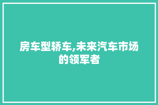 房车型轿车,未来汽车市场的领军者