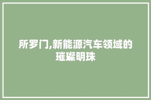 所罗门,新能源汽车领域的璀璨明珠