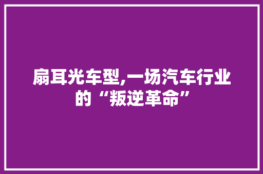 扇耳光车型,一场汽车行业的“叛逆革命”