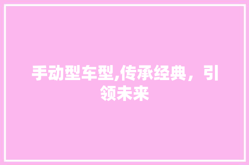 手动型车型,传承经典，引领未来
