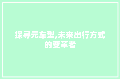 探寻元车型,未来出行方式的变革者