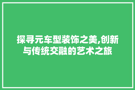 探寻元车型装饰之美,创新与传统交融的艺术之旅