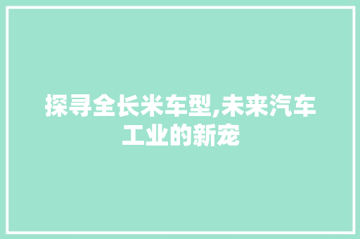 探寻全长米车型,未来汽车工业的新宠