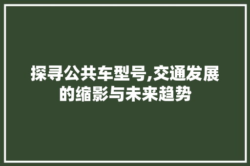 探寻公共车型号,交通发展的缩影与未来趋势