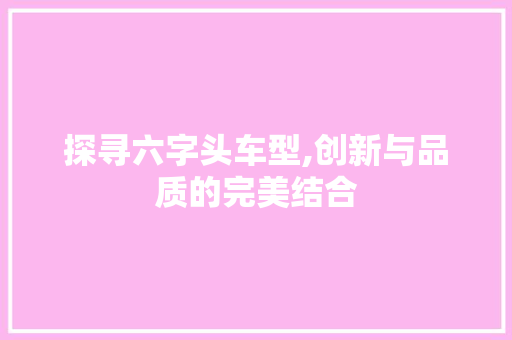 探寻六字头车型,创新与品质的完美结合