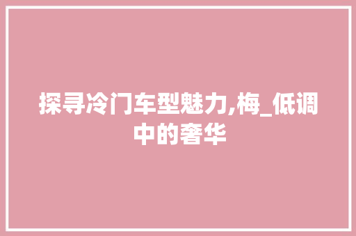 探寻冷门车型魅力,梅_低调中的奢华