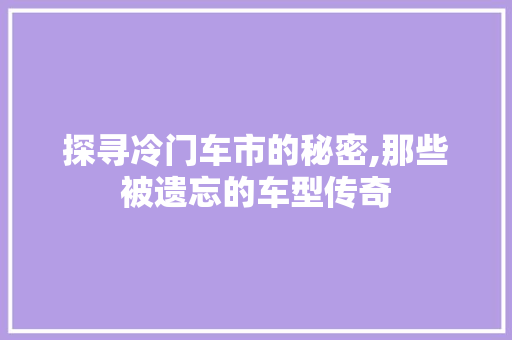 探寻冷门车市的秘密,那些被遗忘的车型传奇