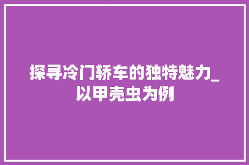 探寻冷门轿车的独特魅力_以甲壳虫为例