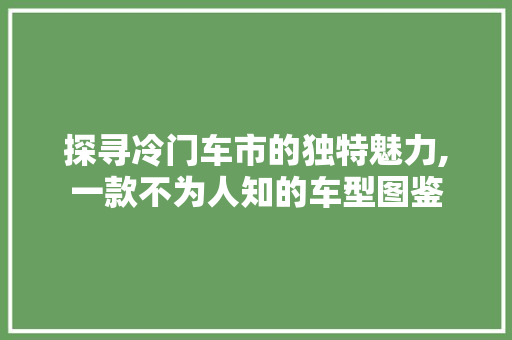 探寻冷门车市的独特魅力,一款不为人知的车型图鉴