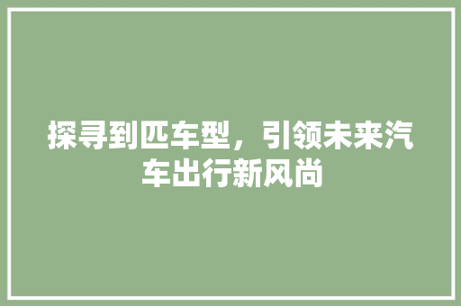 探寻到匹车型，引领未来汽车出行新风尚