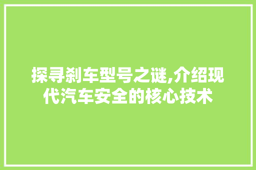 探寻刹车型号之谜,介绍现代汽车安全的核心技术