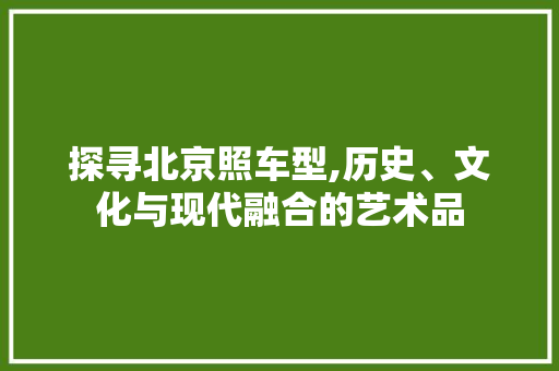 探寻北京照车型,历史、文化与现代融合的艺术品