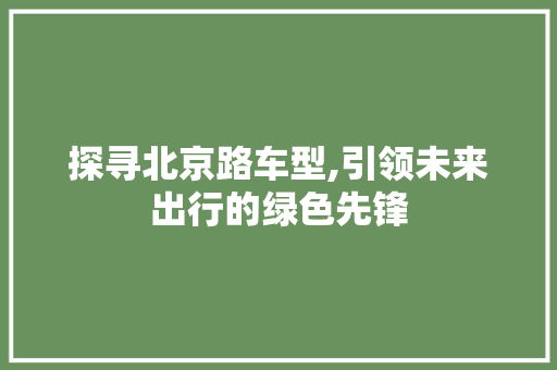 探寻北京路车型,引领未来出行的绿色先锋