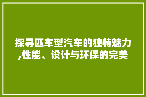 探寻匹车型汽车的独特魅力,性能、设计与环保的完美结合