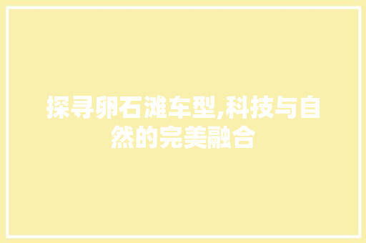 探寻卵石滩车型,科技与自然的完美融合