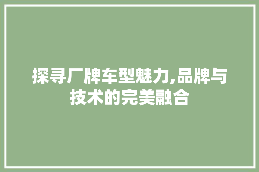 探寻厂牌车型魅力,品牌与技术的完美融合