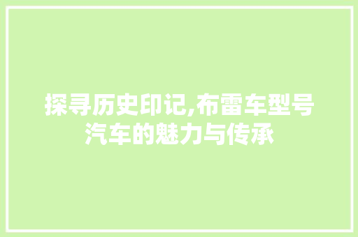 探寻历史印记,布雷车型号汽车的魅力与传承