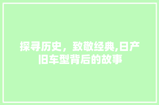 探寻历史，致敬经典,日产旧车型背后的故事